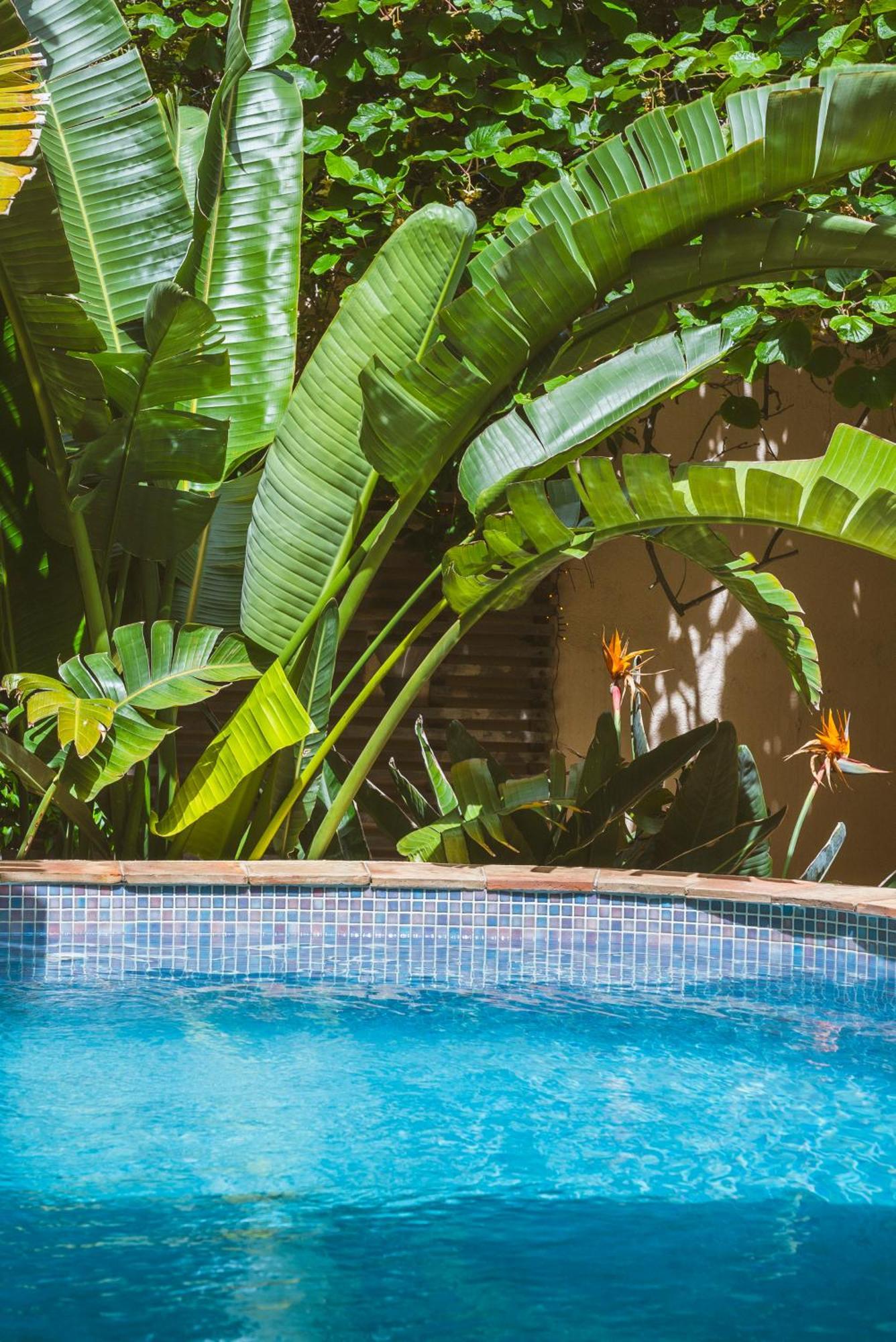 New Villa Magdelein Saint-Tropez Esterno foto